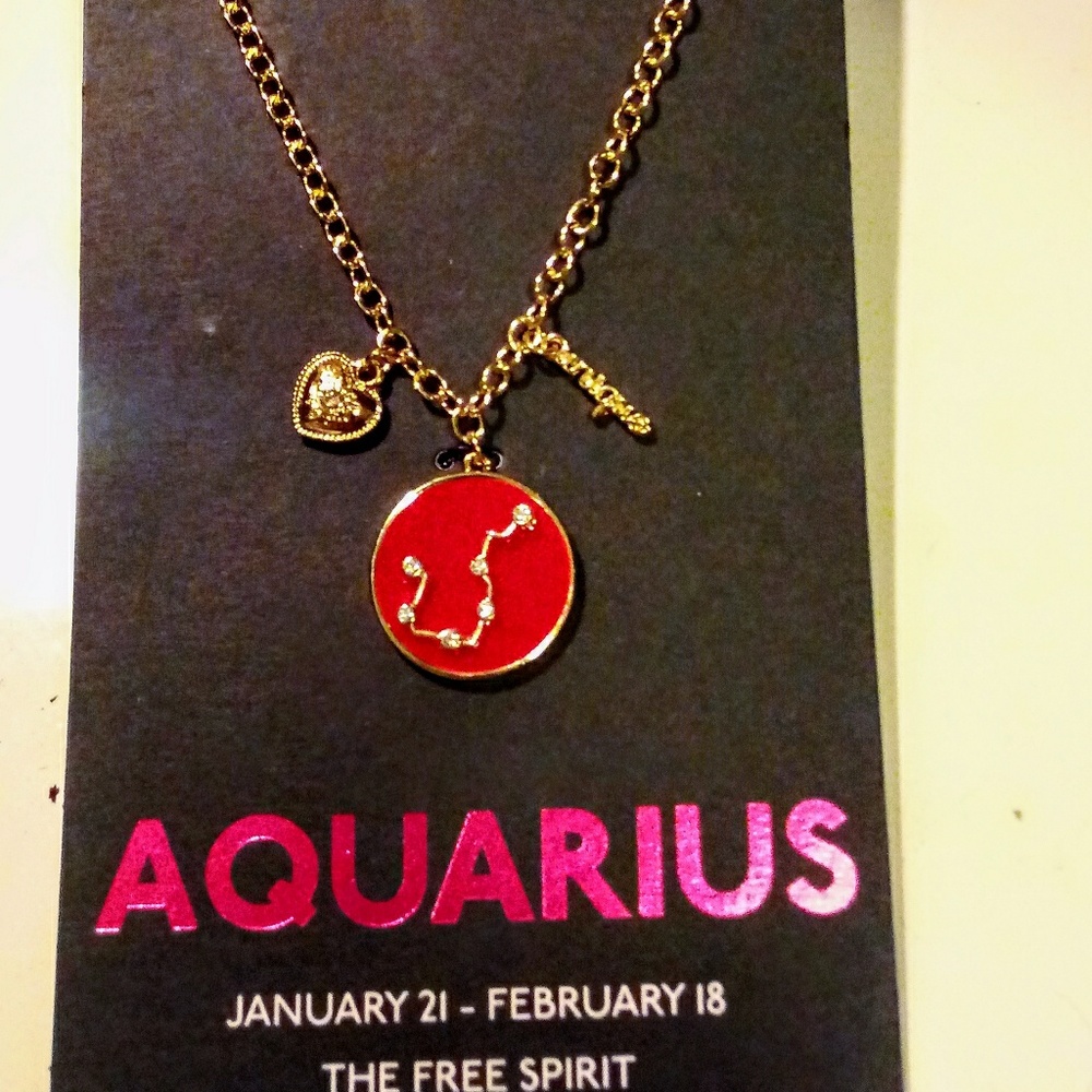 ♒ Aquarius Zodiac Necklace